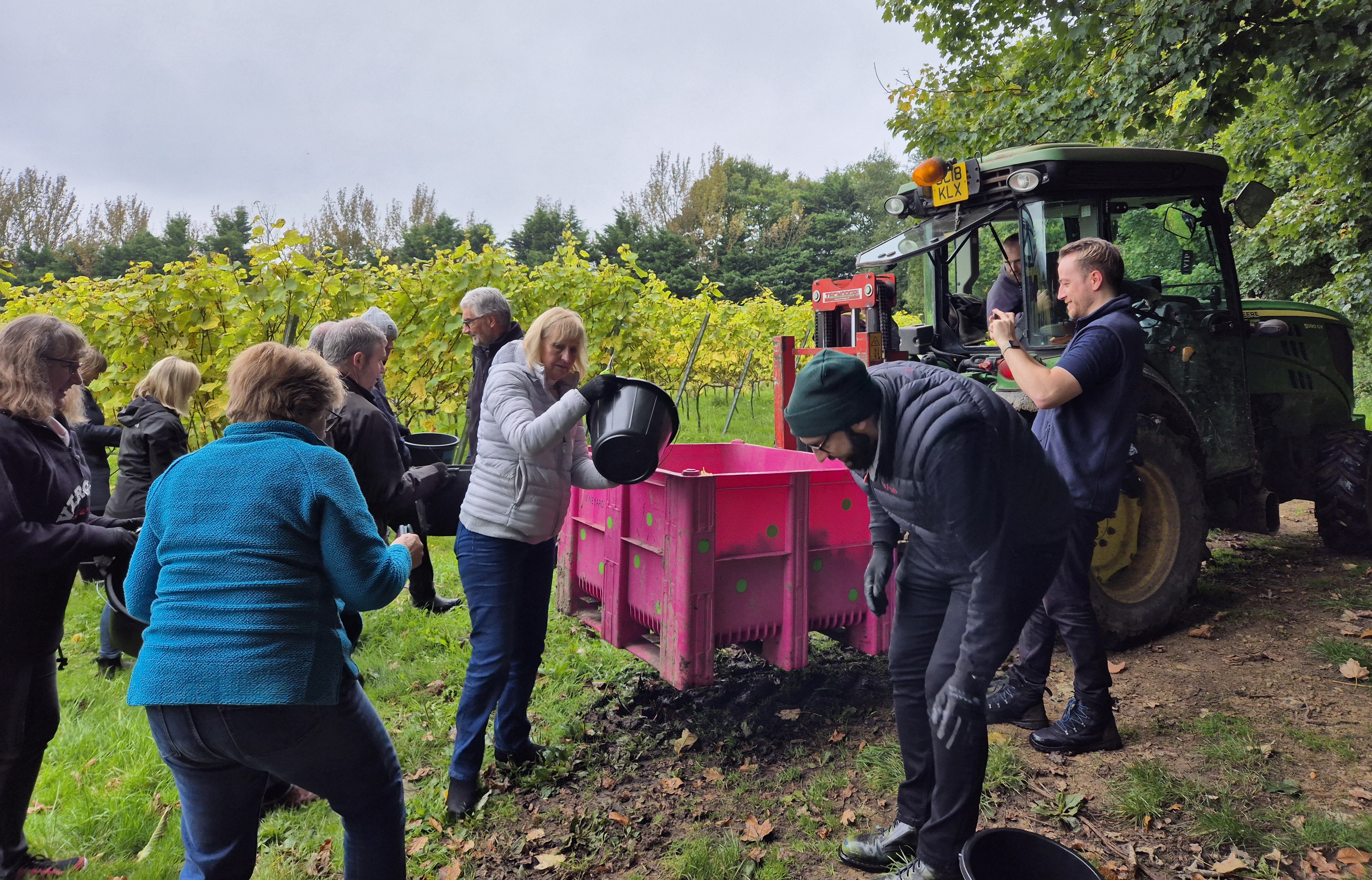 Grape pickers having a break.